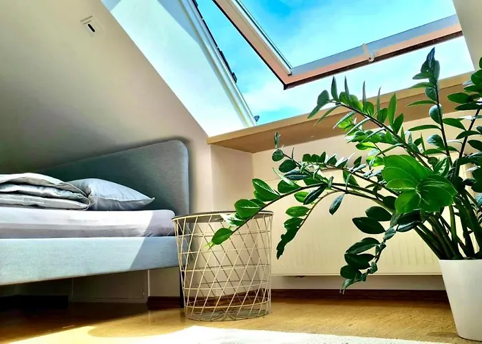 Helles, Ruhiges, Documenta Quartier, Herkules Blick All-in 5g